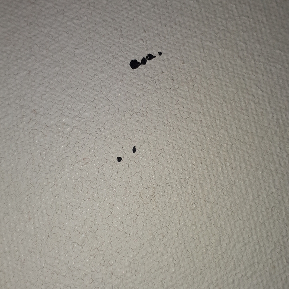 Hand drum - Picture 4 of 4